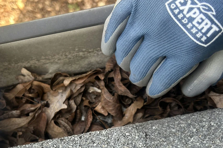 Gutter Cleaning Dover