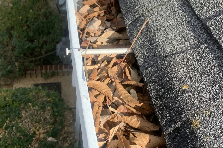 Gutter Cleaning Dover