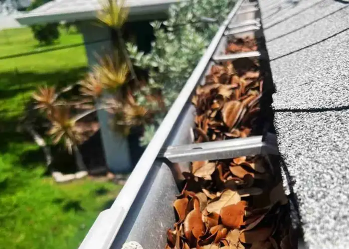 Gutter Cleaning Dover home page